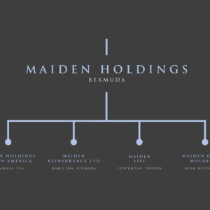 AVI_MAIDEN_HOLDINGS_PORTFOLIO