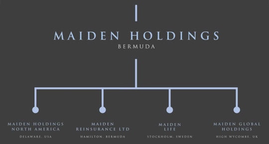AVI_MAIDEN_HOLDINGS_PORTFOLIO