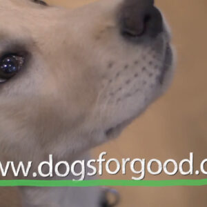 Charity and Public Sector Videos